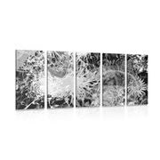 5-piece Canvas print black and white abstract art