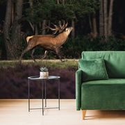 SELF ADHESIVE WALL MURAL MAJESTIC DEER - SELF-ADHESIVE WALLPAPERS - WALLPAPERS