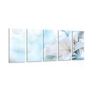 5-PIECE CANVAS PRINT WHITE LILY FLOWER ON AN ABSTRACT BACKGROUND - PICTURES FLOWERS - PICTURES