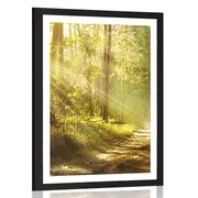 AFFICHE AVEC MONTURE LES RAYONS DU SOLEIL DANS LA FORÊT - NATURE - AFFICHES