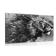 CANVAS PRINT KING OF ANIMALS IN BLACK AND WHITE WATERCOLOR - BLACK AND WHITE PICTURES - PICTURES