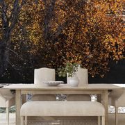 SELF ADHESIVE WALL MURAL REFLECTION OF LEAVES IN THE LAKE - SELF-ADHESIVE WALLPAPERS - WALLPAPERS