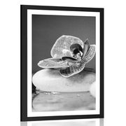 POSTER WITH MOUNT ORCHID AND ZEN STONES IN BLACK AND WHITE - BLACK AND WHITE - POSTERS