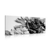 CANVAS PRINT PEONIES IN BLACK AND WHITE - BLACK AND WHITE PICTURES - PICTURES