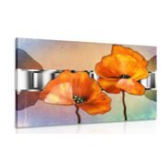 CANVAS PRINT ORANGE POPPY FLOWERS IN ORIENTAL STYLE - PICTURES FLOWERS - PICTURES