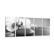 5 part picture orchid and stones in black & white