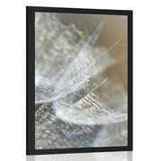 POSTER – MACRO SOFFIONE SU SFONDO - FIORI - POSTER