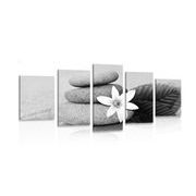 5-PIECE CANVAS PRINT FLOWER AND STONES IN SAND IN BLACK AND WHITE - BLACK AND WHITE PICTURES - PICTURES