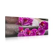 Picture of purple orchid and Zen stone