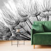 WALL MURAL BLACK AND WHITE BLOOMING DANDELION - BLACK AND WHITE WALLPAPERS - WALLPAPERS