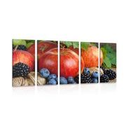 5-PIECE CANVAS PRINT AUTUMN HARVEST - PICTURES OF FOOD AND DRINKS - PICTURES
