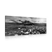 Canvas print meadow of blooming flowers in black and white