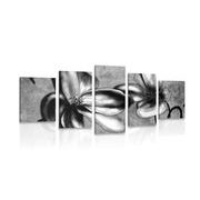 5-piece Canvas print interesting vintage flowers in black and white