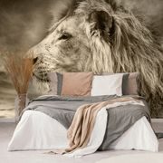 SELF ADHESIVE WALLPAPER AFRICAN LION IN SEPIA VERSION - WALLPAPERS - 🔥 TOTAL SALE 🔥