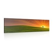 CANVAS PRINT TREE ON THE MEADOW - PICTURES OF NATURE AND LANDSCAPE - PICTURES