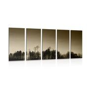 5-dielny obraz sépiový les