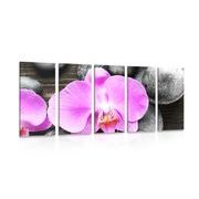 5 part picture beautiful orchid and stones