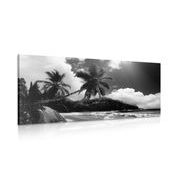 CANVAS PRINT BEAUTIFUL BEACH ON THE ISLAND OF SEYCHELLES IN BLACK AND WHITE - BLACK AND WHITE PICTURES - PICTURES