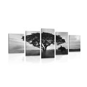 5-PIECE CANVAS PRINT ELEPHANT AT SUNRISE IN BLACK AND WHITE - BLACK AND WHITE PICTURES - PICTURES