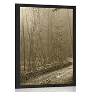 POSTER SEPIA PATH TO THE FOREST - BLACK AND WHITE - POSTERS