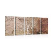 5-PIECE CANVAS PRINT TREE CROWN - PICTURES OF TREES AND LEAVES - PICTURES