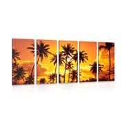 5-PIECE CANVAS PRINT COCONUT TREES ON A BEACH - PICTURES OF NATURE AND LANDSCAPE - PICTURES