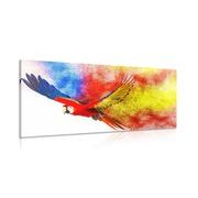 Canvas print parrot flight