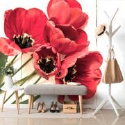 Samolepiaca fototapeta rozkvitnuté červené tulipány