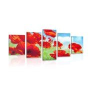 5-PIECE CANVAS PRINT POPPY FLOWERS IN A MEADOW - PICTURES FLOWERS - PICTURES