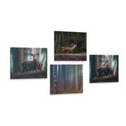 Set of pictures charm of forest animals