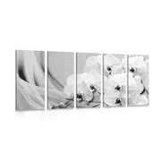 5 part picture orchid on canvas in black & white