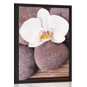 Plakat wellness kamni in orhideja na lesenem ozadju