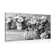 CANVAS PRINT ROMANTIC CARNATION IN A VINTAGE TOUCH IN BLACK AND WHITE - BLACK AND WHITE PICTURES - PICTURES