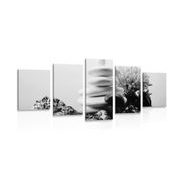 5-PIECE CANVAS PRINT ZEN STONES WITH SEASHELLS IN BLACK AND WHITE - BLACK AND WHITE PICTURES - PICTURES