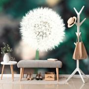 FOTAWALLPAPER FLUFFY DANDELION HAT - WALLPAPERS FLOWERS - WALLPAPERS