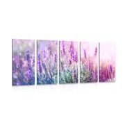 5-PIECE CANVAS PRINT MAGICAL LAVENDER FLOWERS - PICTURES FLOWERS - PICTURES