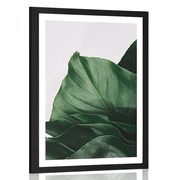 POSTER WITH MOUNT ENCHANTING MONSTERA LEAF - FLOWERS - POSTERS