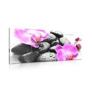 CANVAS PRINT MAGICAL INTERPLAY OF STONES AND ORCHIDS - PICTURES FENG SHUI - PICTURES