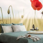 SELF ADHESIVE WALLPAPER WILD POPPY - SELF-ADHESIVE WALLPAPERS - WALLPAPERS