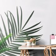 WALL MURAL BEAUTIFUL PALM LEAF - WALLPAPERS NATURE - WALLPAPERS