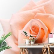 SELF ADHESIVE WALL MURAL ROSE IN A PEACH SHADE - SELF-ADHESIVE WALLPAPERS - WALLPAPERS