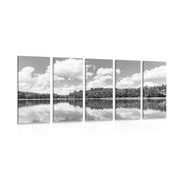 5-piece Canvas print nature in summer in black and white