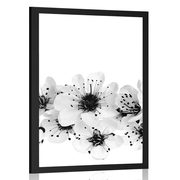 Plakat češnjevi cvetovi v črnobeli varianti