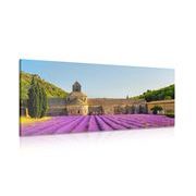 QUADRO PROVENZA CON CAMPI DI LAVANDA - QUADRI CITTÀ - QUADRI