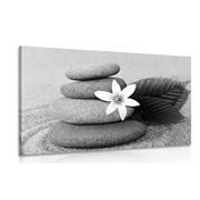 CANVAS PRINT FLOWER AND STONES IN THE SAND IN BLACK AND WHITE - BLACK AND WHITE PICTURES - PICTURES