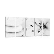 5-dijelna slika ljiljan i masažno kamenje u crno-bijelom dizajnu
