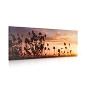 CANVAS PRINT GRASS BLADES ON A FIELD - PICTURES OF NATURE AND LANDSCAPE - PICTURES