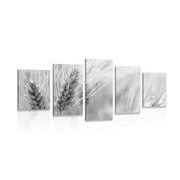 5 part picture of a wheat field in black & white