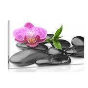 CANVAS PRINT MASSAGE WELLNESS STONES - PICTURES FENG SHUI - PICTURES