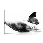 Canvas print feather with a butterfly in black and white